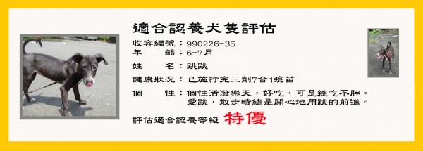 跳跳 100712.jpg