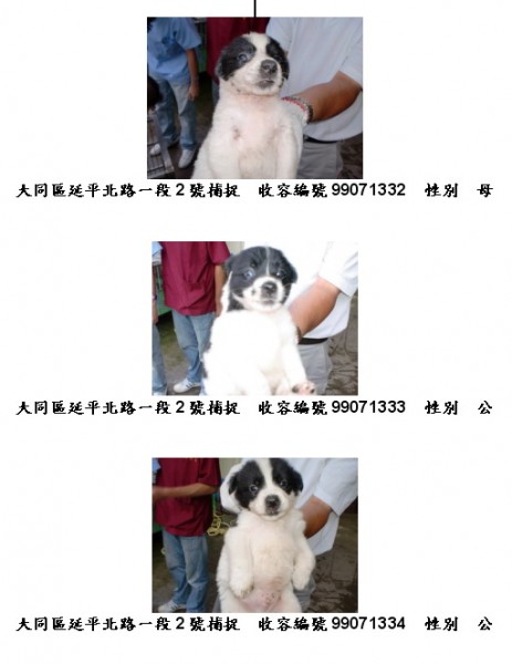 1-2.jpg