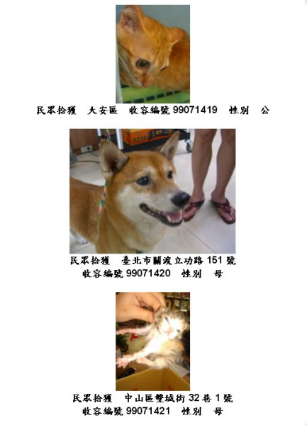 990714-7.jpg