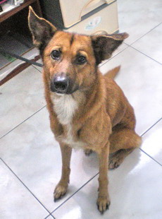 IMGP0104.jpg