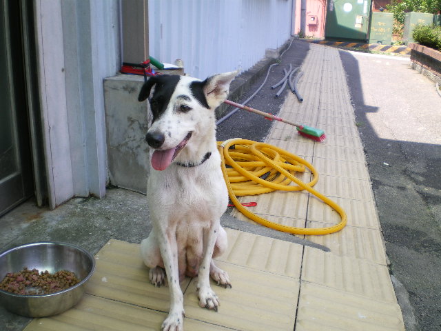 IMGP1361.JPG