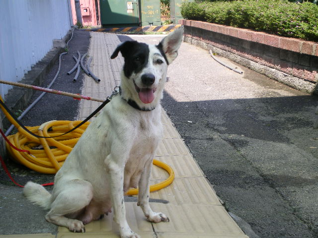 IMGP1363.JPG