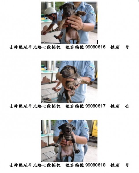 990806-6.jpg