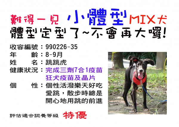 跳跳 100916拷貝.jpg