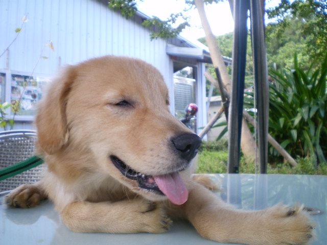 IMGP1410.JPG