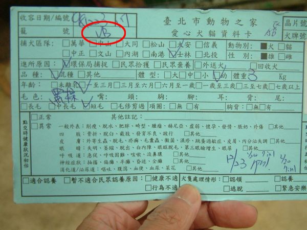 看清楚以前住VB(隔離B)