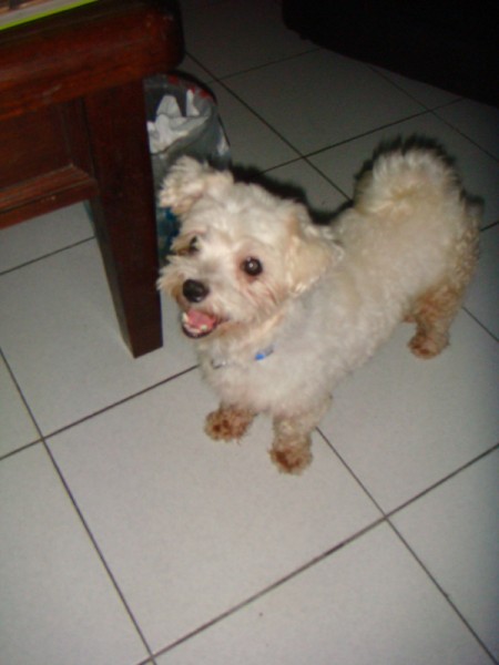 DSC00679.JPG