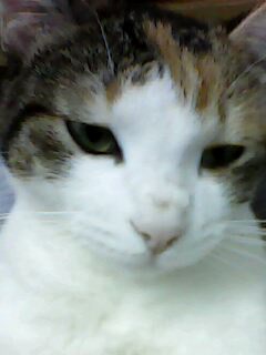 IMG0012A.jpg
