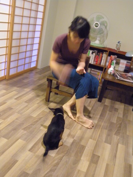 DSCN6970.JPG