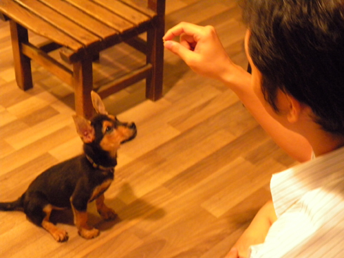 DSCN6968.JPG