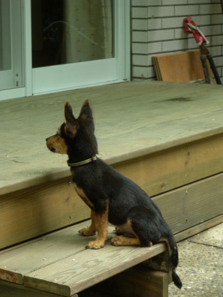 DSCN6962.JPG