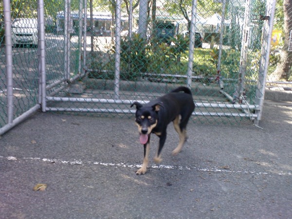DSC00501.JPG