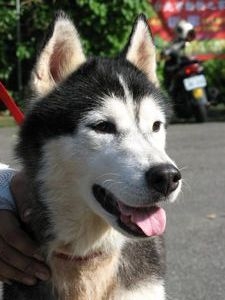 tn_IMG_7244.jpg