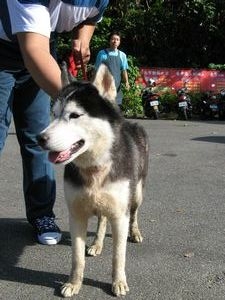 tn_IMG_7245.jpg