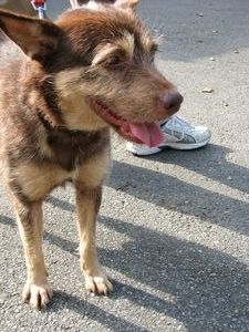 tn_IMG_7249.jpg