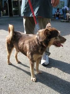tn_IMG_7251.jpg