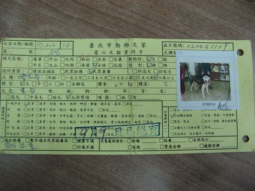 tn_哈士奇-哈奇.jpg