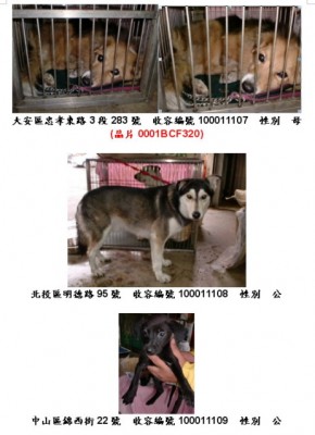 20110112.jpg